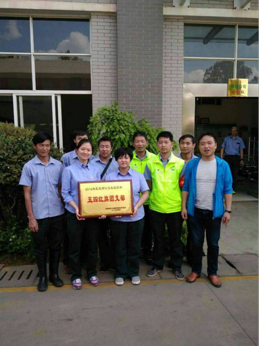 图片12