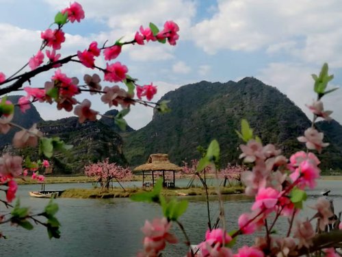 作者:李文忠《桃花岛》 作者:李文忠《桃花岛》