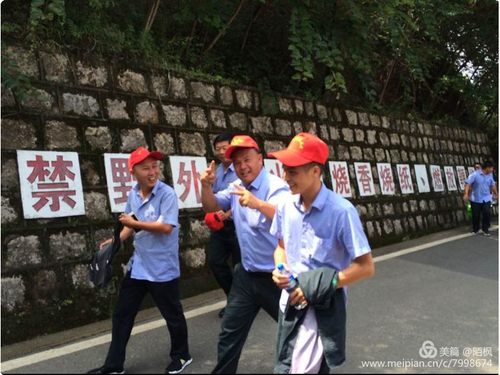 图片7