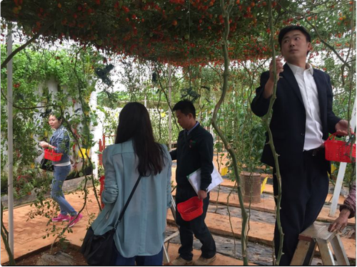 图片3