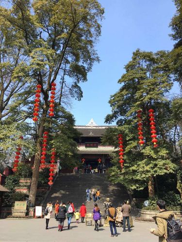 出游