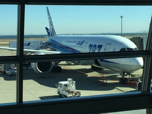 “全日空”飞机    普圣博