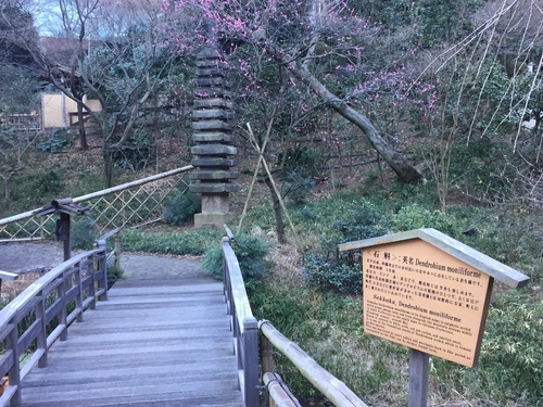 石謝  普圣博