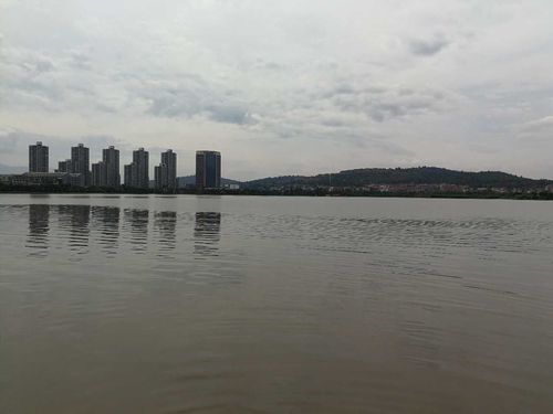 在水一方-32车队郑雄文 在水一方-32车队郑雄文