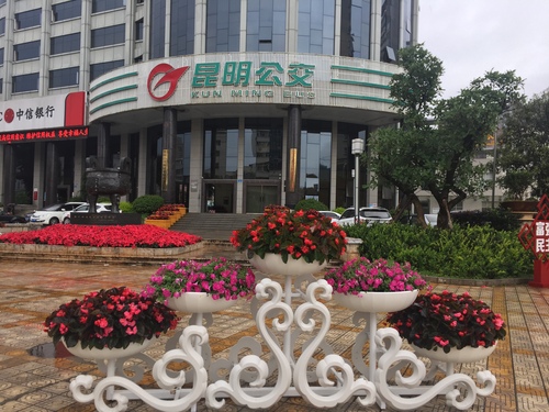 集团一景（张宏宇）