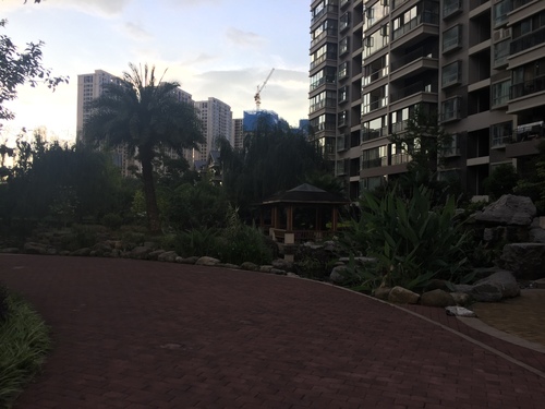 小区新貌（张宏宇）