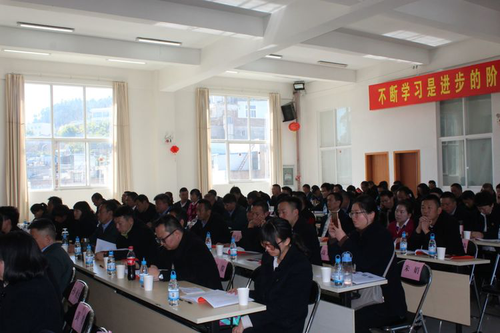 图片8