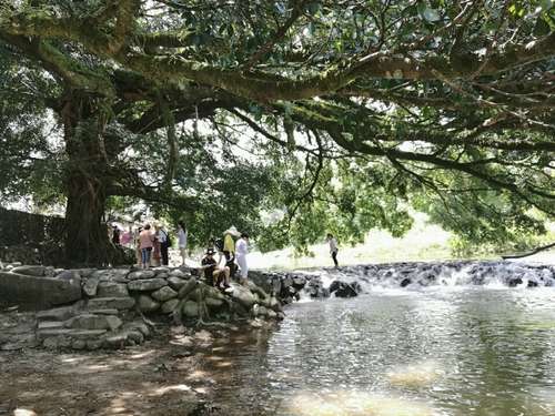 夏日清凉