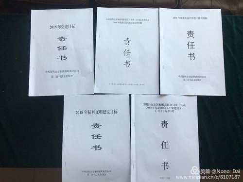 图片13