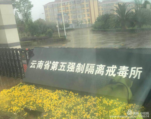 图片5