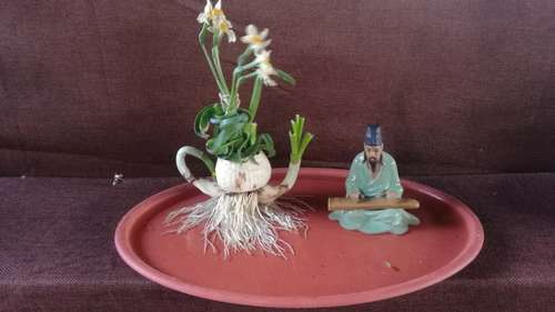 静坐修身                                   作者：马敏龙