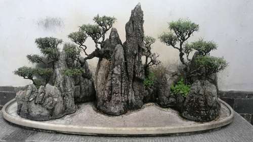 盆景                                          作者：马敏龙