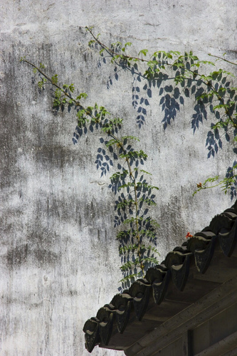 春色