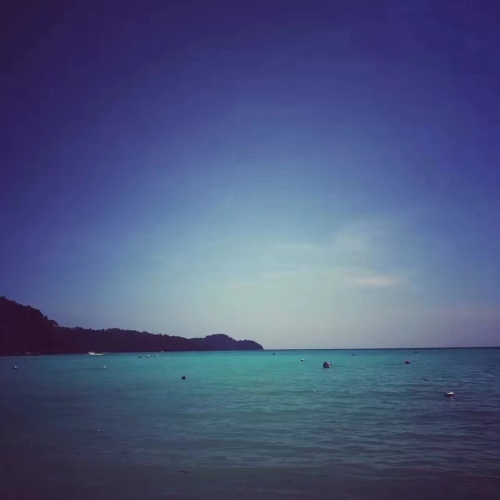 作者:陈跟《海》 作者:陈跟《海》