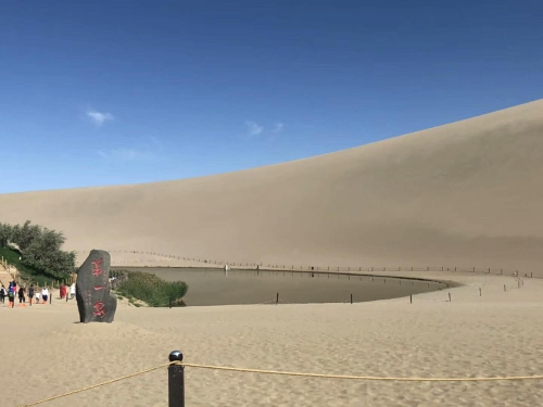 沙漠绿洲 作者:马敏龙 沙漠绿洲 作者:马敏龙