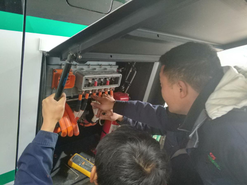 图片11