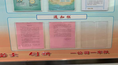 图片11
