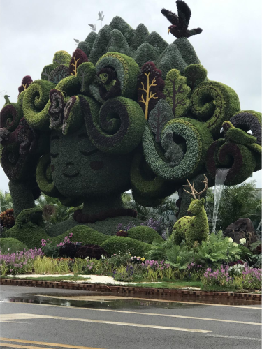 图片5
